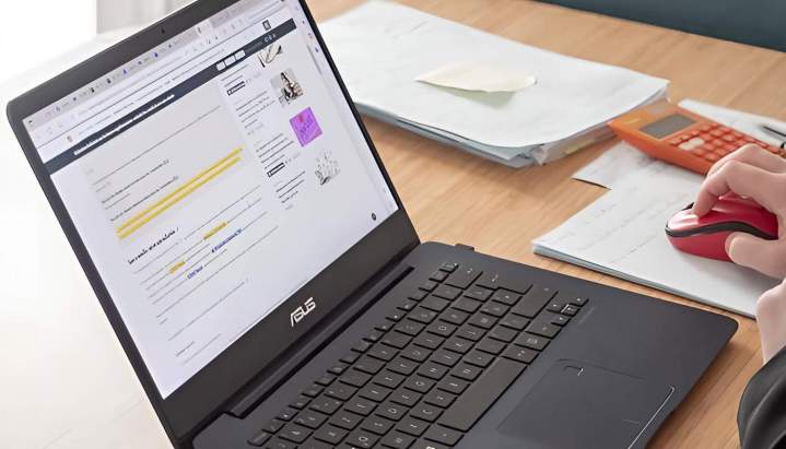 Découvrez nos autres prestations en matière d'externalisation de gestion.